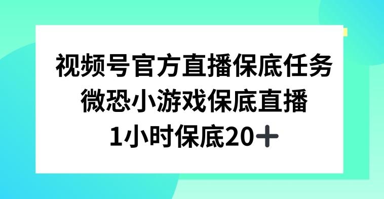 视频号直播任务，微恐小游戏，1小时20+【揭秘】-指尖网