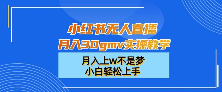 小红书无人直播月入30gmv实操教学，月入上w不是梦，小白轻松上手【揭秘】-指尖网