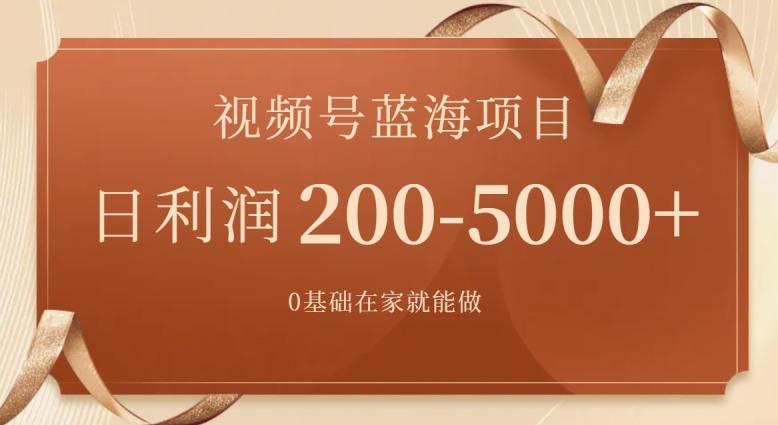 外边收费699视频号项目，最新玩法，简单好操作，一人可做，日四位数-指尖网