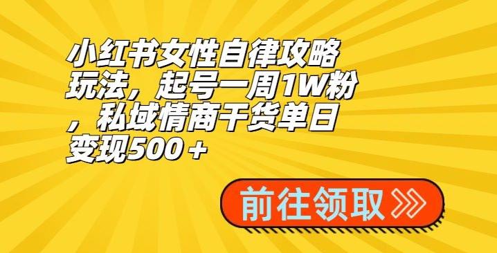 小红书女性自律攻略玩法，起号一周1W粉，私域情商干货单日变现500＋-指尖网