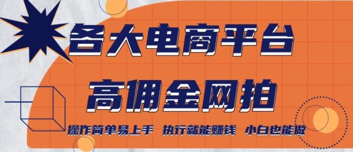 各大电商平台高佣金网拍，操作简单易上手，执行就能赚钱，小白也能做-指尖网