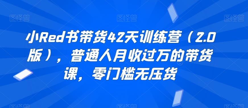 小Red书带货42天训练营(2.0版)，普通人月收过万的带货课，零门槛无压货-指尖网