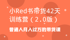 小Red书带货42天训练营(2.0版)普通人月入过万的带货课-指尖网