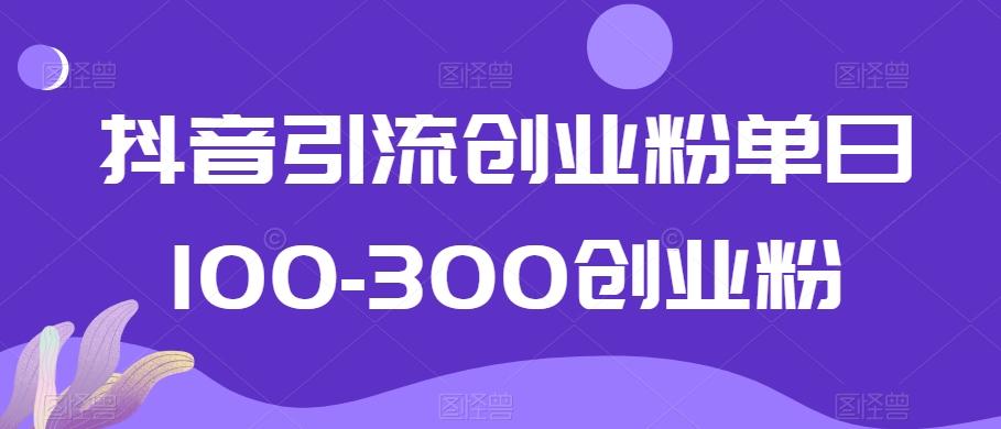 抖音引流创业粉单日100-300创业粉【揭秘】-指尖网