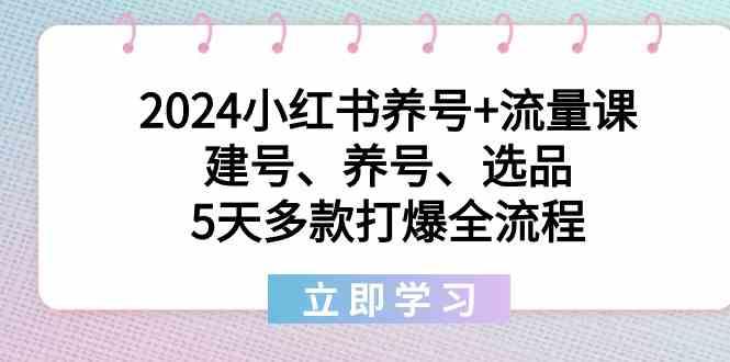 2024小红书养号+流量课：建号、养号、选品，5天多款打爆全流程-指尖网