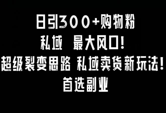 日引300+购物粉，超级裂变思路，私域卖货新玩法，小红书首选副业【揭秘】-指尖网