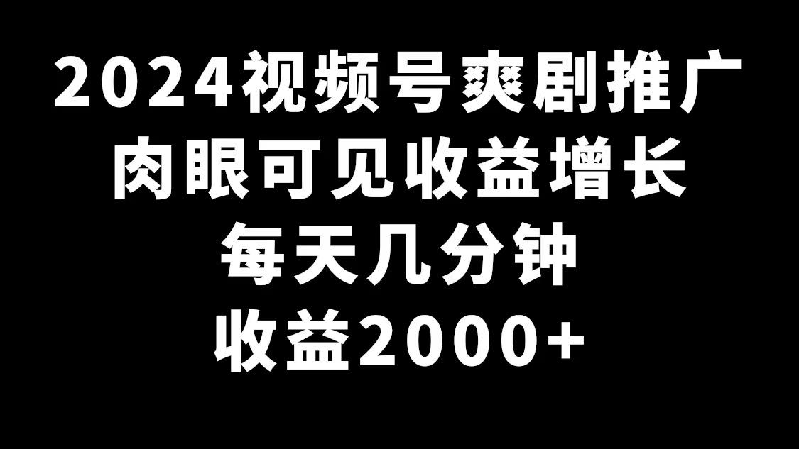 2024视频号爽剧推广，肉眼可见的收益增长，每天几分钟收益2000+-指尖网