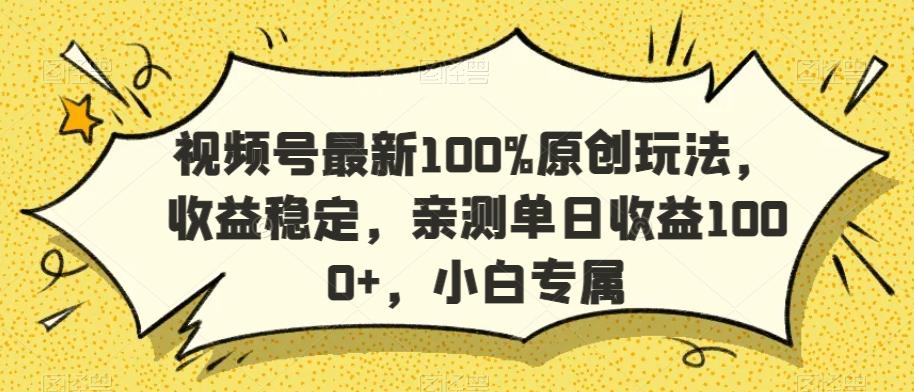 视频号最新100%原创玩法，收益稳定，亲测单日收益1000+，小白专属【揭秘】-指尖网