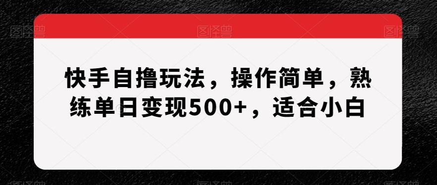 快手自撸玩法，操作简单，熟练单日变现500+，适合小白【揭秘】-指尖网