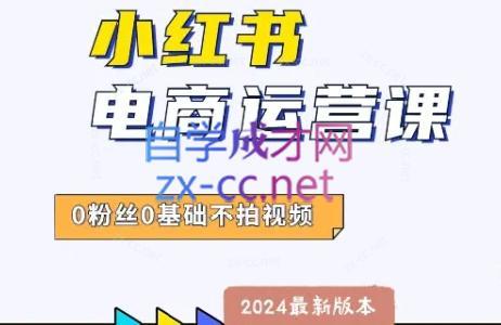 达哥·小红书电商运营(2024版)-指尖网