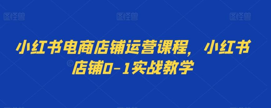 小红书电商店铺运营课程，小红书店铺0-1实战教学-指尖网