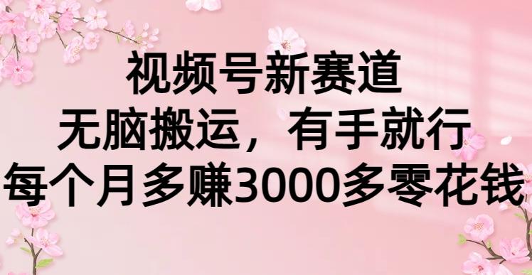 (9278期)视频号新赛道，无脑搬运，有手就行，每个月多赚3000多零花钱-指尖网