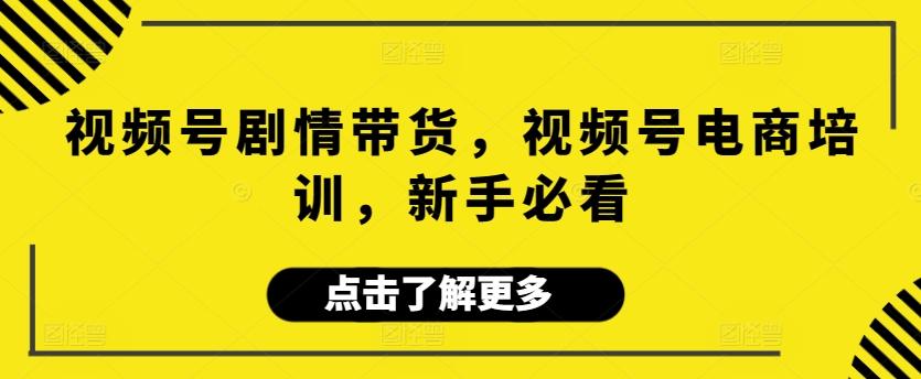 视频号剧情带货，视频号电商培训，新手必看-指尖网