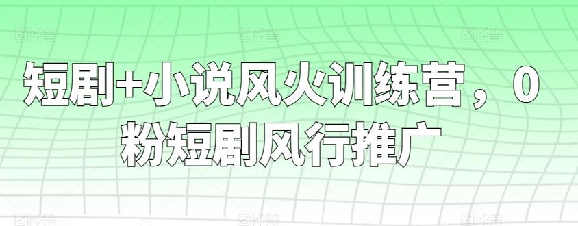 短剧+小说风火训练营，0粉短剧风行推广-指尖网