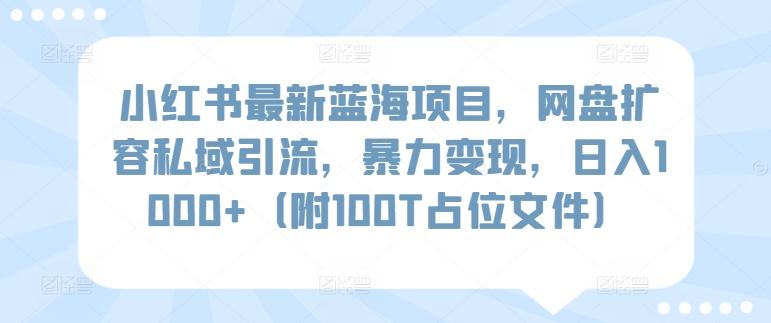 小红书最新蓝海项目，网盘扩容私域引流，暴力变现，日入1000+(附100T占位文件)【揭秘】-指尖网