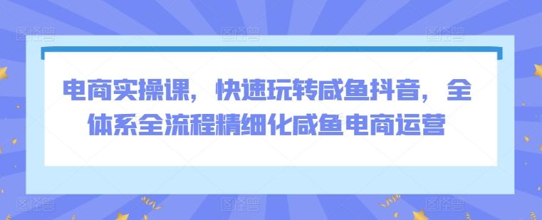 电商实操课，快速玩转咸鱼抖音，全体系全流程精细化咸鱼电商运营-指尖网