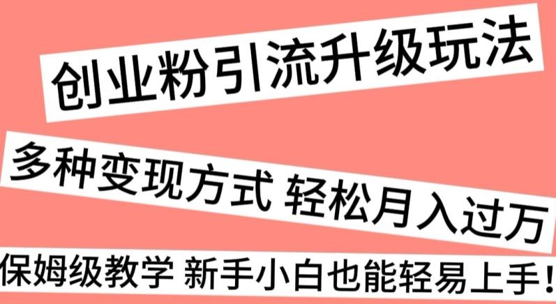 创业粉引流升级玩法，多种变现方式轻松月入过万，保姆级教学新手小白也能轻易上手！-指尖网