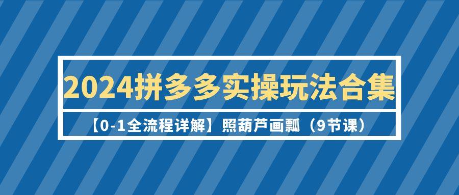 (9559期)2024拼多多实操玩法合集【0-1全流程详解】照葫芦画瓢(9节课)-指尖网