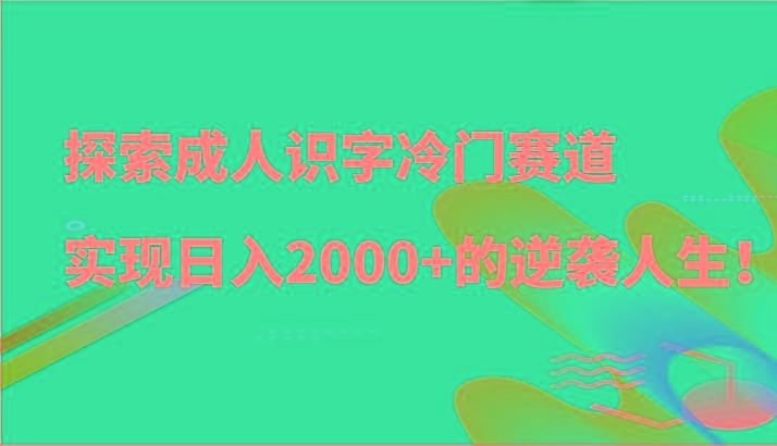 探索成人识字冷门赛道，实现日入2000+的逆袭人生！-指尖网