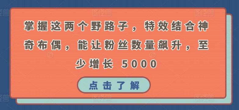 掌握这两个野路子，特效结合神奇布偶，能让粉丝数量飙升，至少增长 5000【揭秘】-指尖网