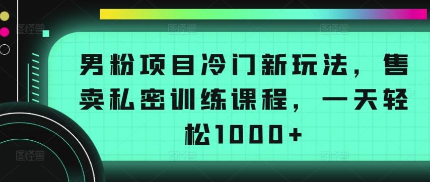 男粉项目冷门新玩法，售卖私密训练课程，一天轻松1000+【揭秘】-指尖网