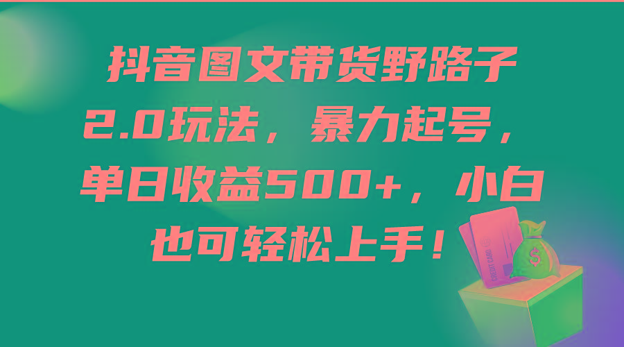 (9790期)抖音图文带货野路子2.0玩法，暴力起号，单日收益500+，小白也可轻松上手！-指尖网