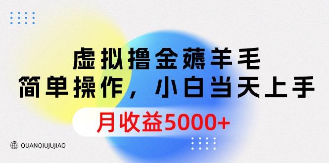 (9864期)虚拟撸金薅羊毛，简单操作，小白当天上手，月收益5000+-指尖网