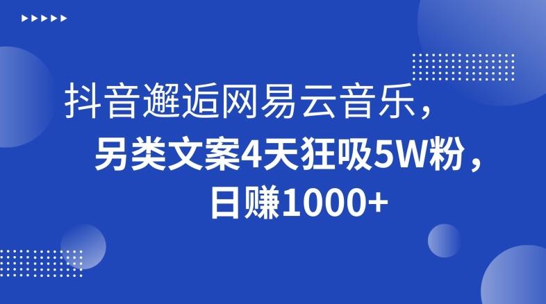 抖音邂逅网易云音乐，另类文案4天狂吸5W粉，日赚1000+【揭秘】-指尖网