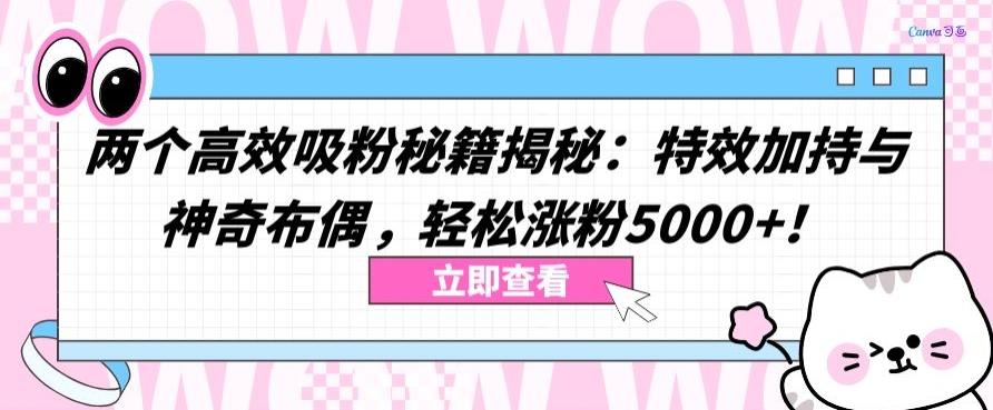 两个高效吸粉秘籍揭秘：特效加持与神奇布偶，轻松涨粉5000+【揭秘】-指尖网