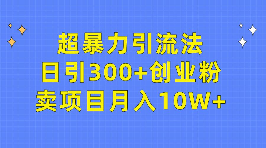 (9954期)超暴力引流法，日引300+创业粉，卖项目月入10W+-指尖网