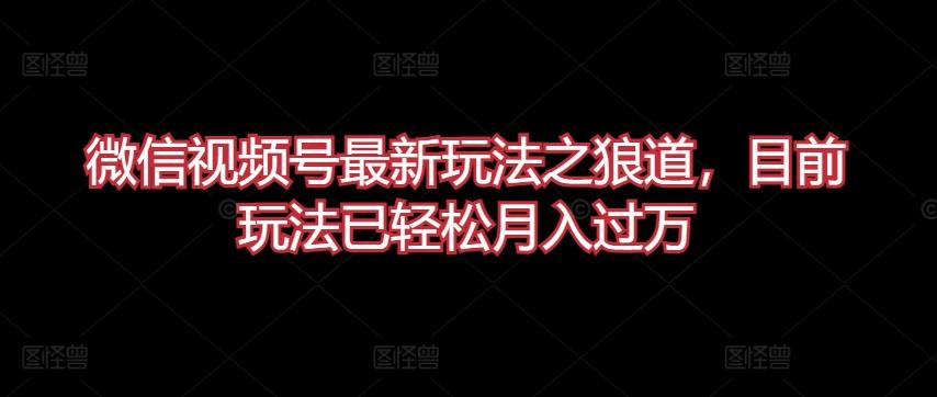 微信视频号最新玩法之狼道，目前玩法已轻松月入过万【揭秘】-指尖网