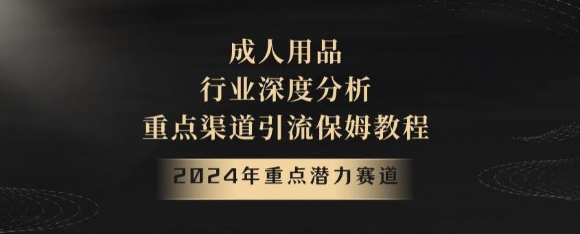 2024年重点潜力赛道，成人用品行业深度分析，重点渠道引流保姆教程【揭秘】-指尖网