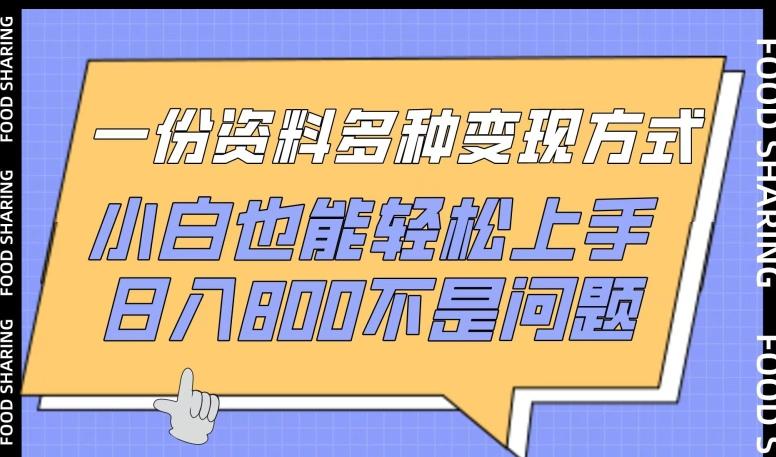 一份资料多种变现方式，小白也能轻松上手，日入800不是问题【揭秘】-指尖网