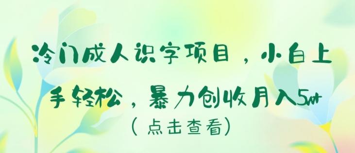 冷门成人识字项目，小白上手轻松，暴力创收月入5w+【揭秘】-指尖网