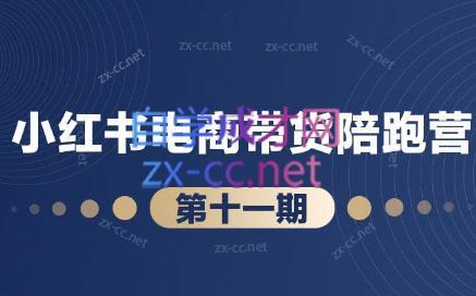 盗坤·小红书电商带货陪跑营(第十一期)-指尖网