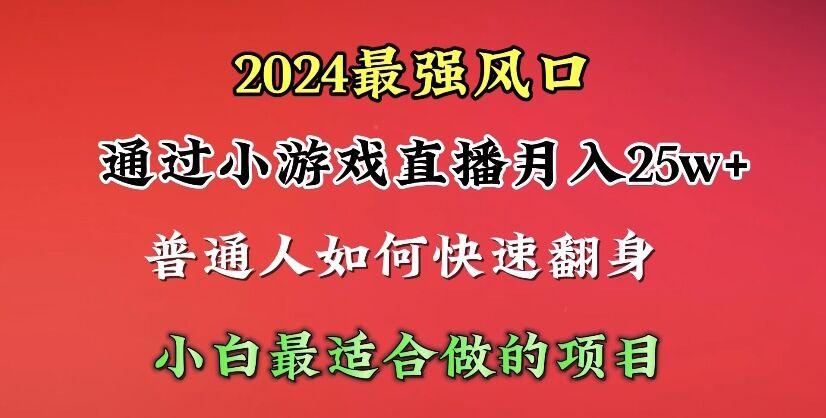 (10020期)2024年最强风口，通过小游戏直播月入25w+单日收益5000+小白最适合做的项目-指尖网