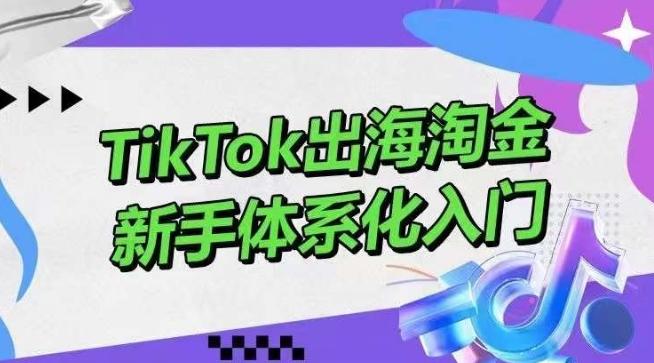 TikTok出海淘金，新手体系化入门，零基础快速入门，掌握短视频、直播带货等引流到变现的知识-指尖网