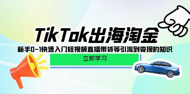 (10035期)TikTok-出海淘金，新手0-1快速入门短视频直播带货等引流到变现的知识-指尖网