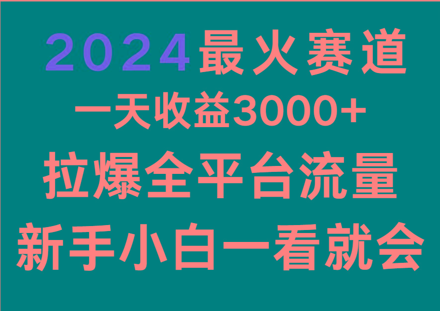 2024最火赛道，一天收一3000+.拉爆全平台流量，新手小白一看就会-指尖网