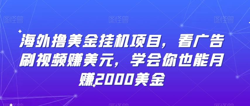 海外撸美金挂机项目，看广告刷视频赚美元，学会你也能月赚2000美金-指尖网