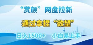 “赏颜”网盘拉新赛道，通过拿捏“欲望”日入1500+，小白易上手【揭秘】-指尖网