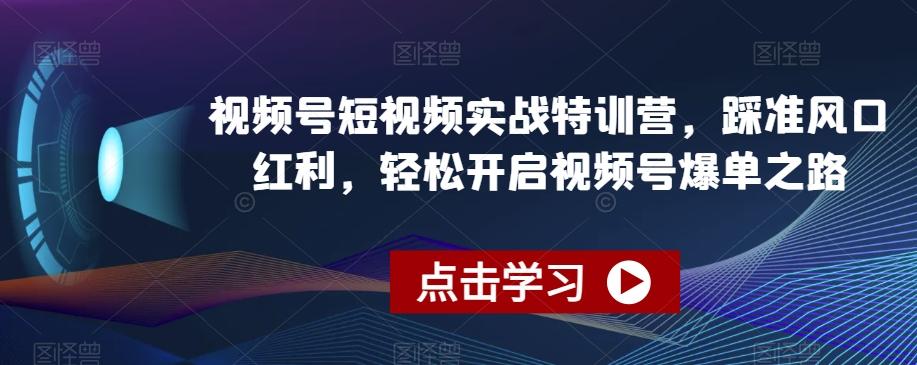 视频号短视频实战特训营，踩准风口红利，轻松开启视频号爆单之路-指尖网