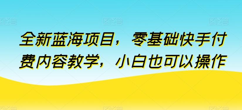 全新蓝海项目，零基础快手付费内容教学，小白也可以操作【揭秘】-指尖网