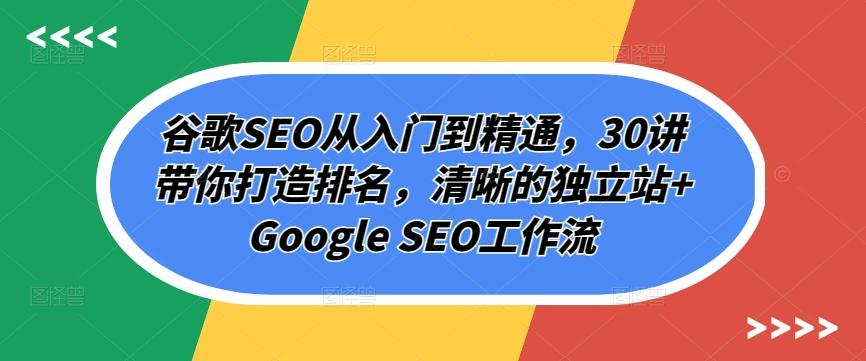 谷歌SEO从入门到精通，30讲带你打造排名，清晰的独立站+Google SEO工作流-指尖网