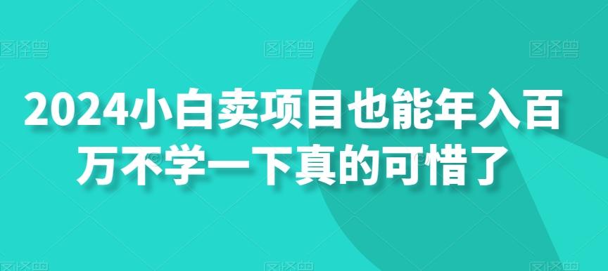 2024小白卖项目也能年入百万不学一下真的可惜了-指尖网