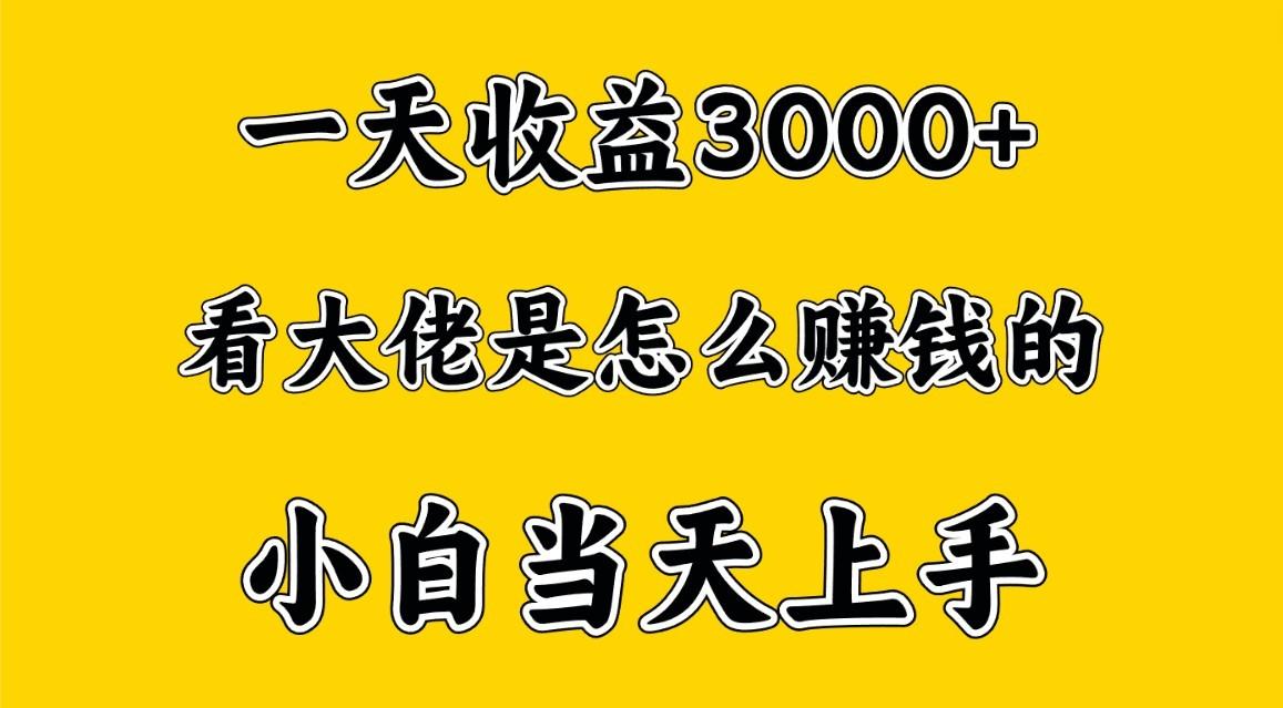 一天赚3000多，大佬是这样赚到钱的，小白当天上手，穷人翻身项目-指尖网