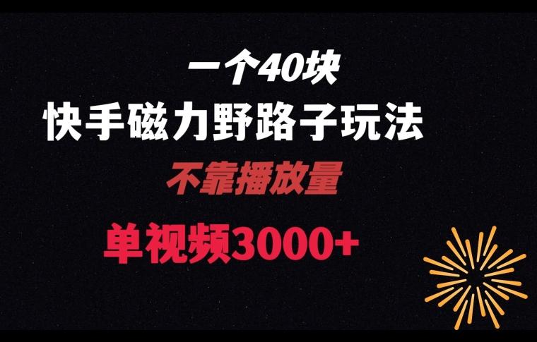 一个40块，快手联合美团磁力新玩法，无视机制野路子玩法，单视频收益4位数【揭秘】-指尖网