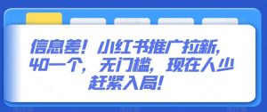 信息差！小红书推广拉新，40一个，无门槛，现在人少赶紧入局！-指尖网