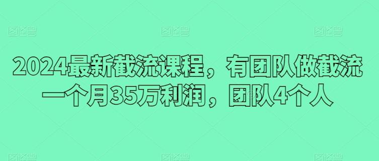 2024最新截流课程，有团队做截流一个月35万利润，团队4个人-指尖网