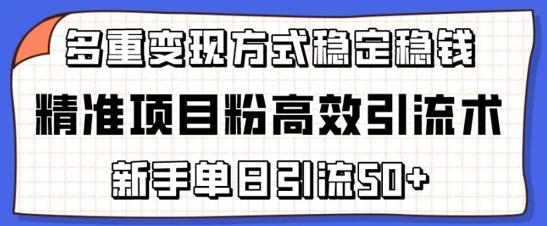 精准项目粉高效引流术，新手单日引流50+，多重变现方式稳定赚钱【揭秘】-指尖网